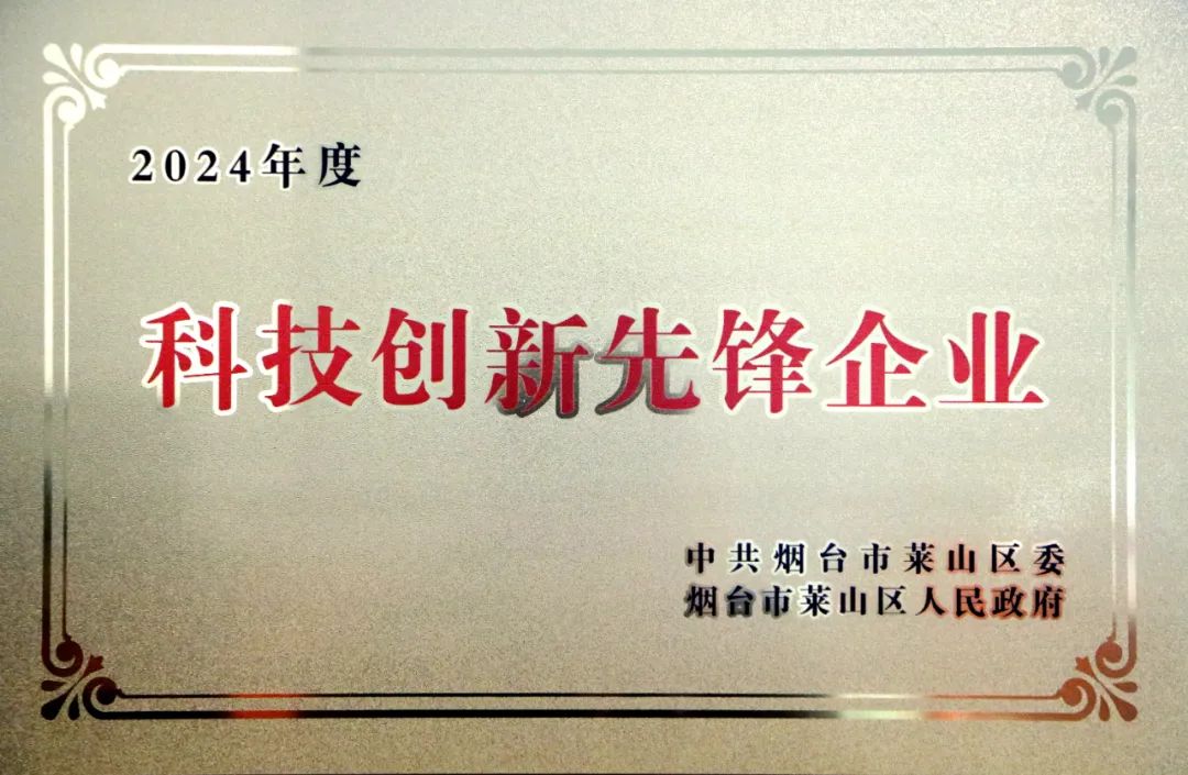 以创新筑未来，雨石数字荣获2024年度科技创新先锋企业