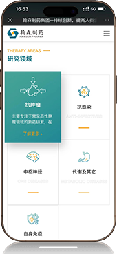 高端网站建设_雨石数字
