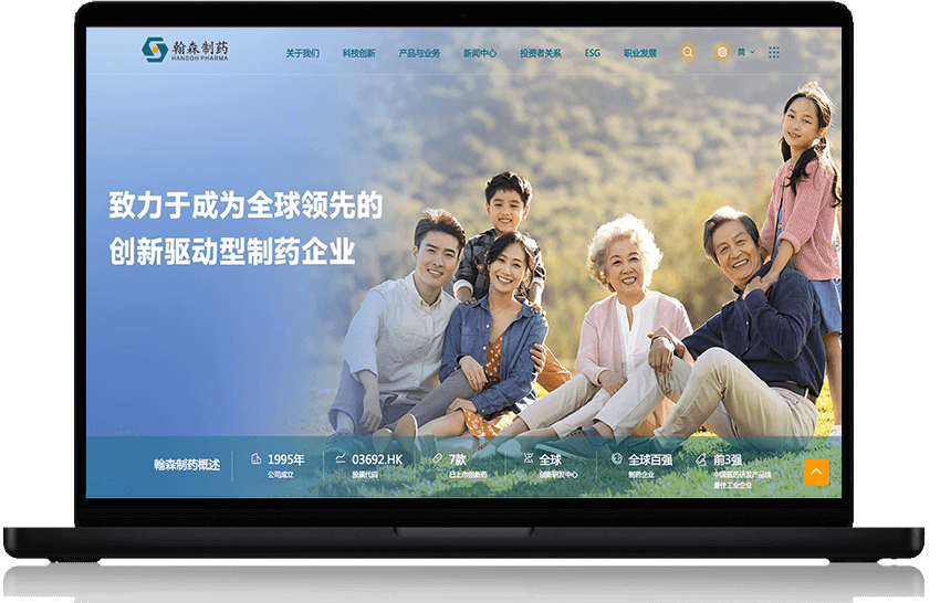 高端网站建设_雨石数字