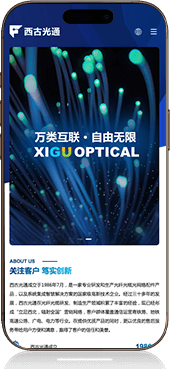 高端网站建设_雨石数字